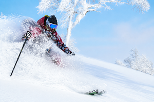 Powder ski lessons in Hokkaido